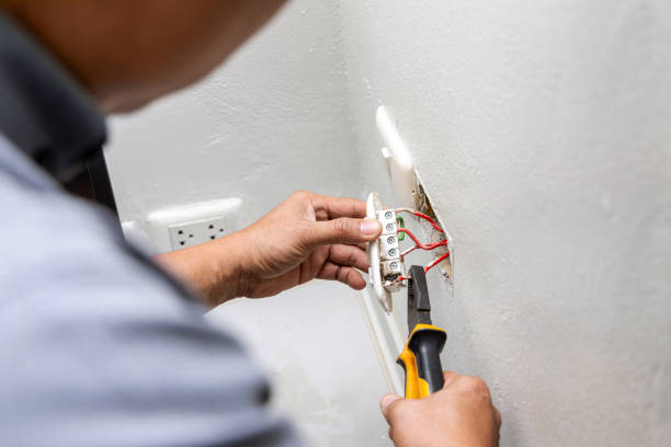 Best Electric Panel Repair  in Mcallen, TX